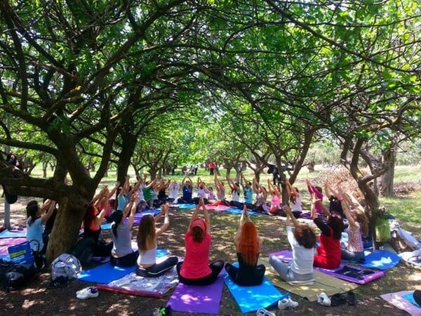Open Yoga Day