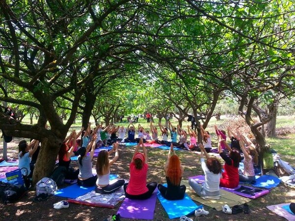 Open Yoga Day