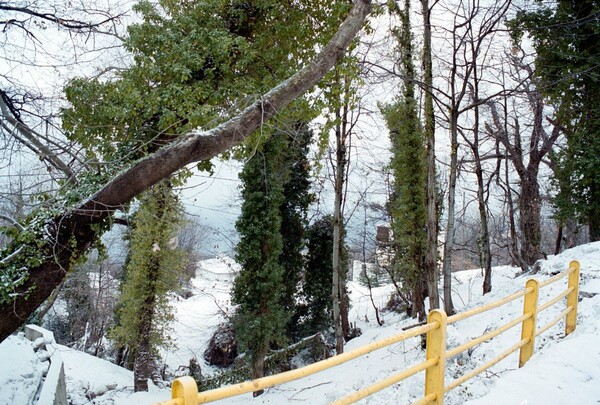 Σφοδρή χιονόπτωση στο Πήλιο - Κλειστό ακόμα και το χιονοδρομικό κέντρο