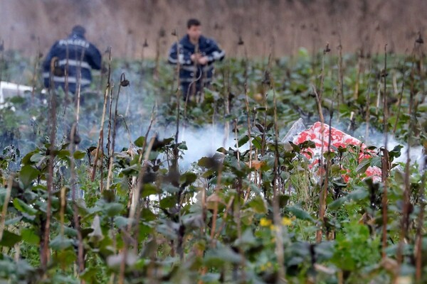 Μικρό αεροσκάφος συγκρούστηκε με ελικόπτερο στη Γερμανία - 4 νεκροί