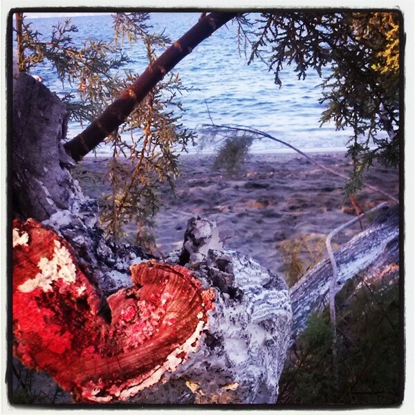 INSTA#LIFO: Πέμπτη 14 Αυγούστου