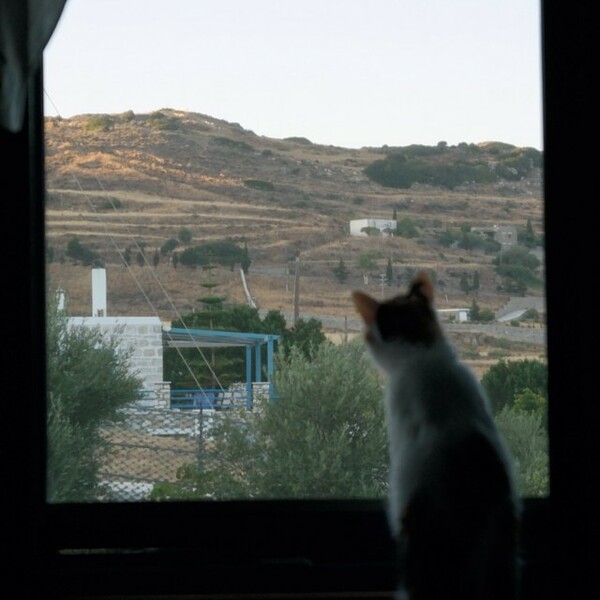 INSTA#LIFO: Πέμπτη 14 Αυγούστου
