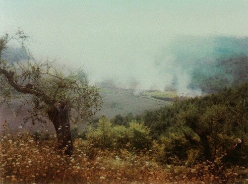 Οι πολαρόιντ του Ταρκόφσκι