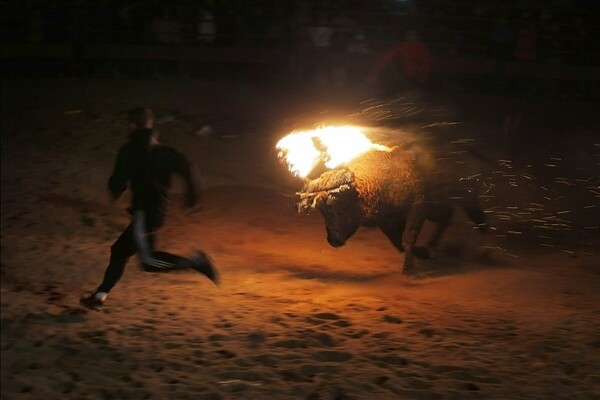 Στη δημοσιότητα σκληρές εικόνες από το φεστιβάλ με τον φλεγόμενο ταύρο