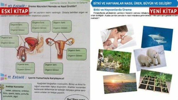 Στην Τουρκία δεν υπάρχουν γεννητικά όργανα…μόνο παπάκια