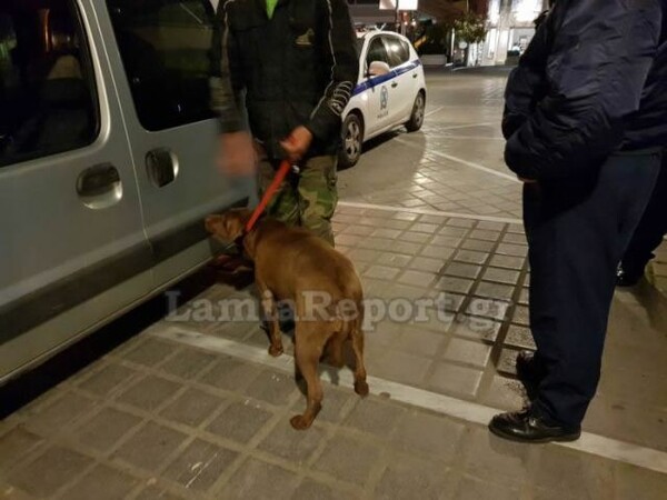 Οι φιλόζωοι καταγγέλλουν επιχείρηση- σκούπα για τα αδέσποτα στη Λαμία
