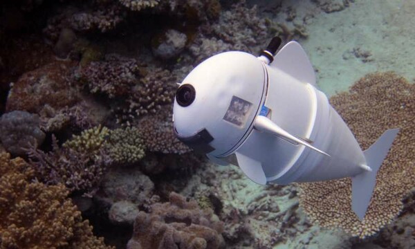H SoFi είναι το πρώτο ρομποτικό ψάρι που μοιάζει με πραγματικό και ίσως σώσει τους ωκεανούς