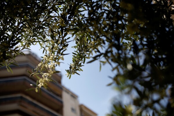 Κυριακή του Πάσχα με λιακάδα και άνοδο της θερμοκρασίας