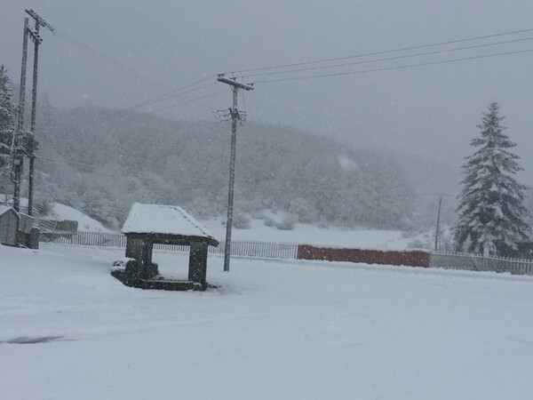 Χειμωνιάτικο σκηνικό στην Ήπειρο - Χιονίζει στα ορεινά από τα ξημερώματα
