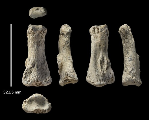 Ανακαλύφθηκε στη Σαουδική Αραβία απολίθωμα του Homo Sapiens ηλικίας 90.000 ετών