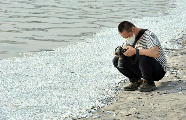 Χιλιάδες ψάρια νεκρά σε ποτάμι κοντά στην Tianjin