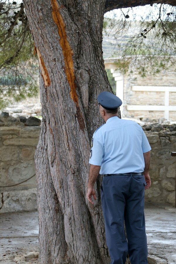 Σε κρίσιμη κατάσταση τουρίστρια που έπαθε ανακοπή από τον κεραυνό στην Κνωσό