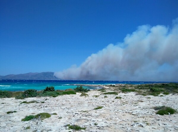 Σε ύφεση η πυρκαγιά στη Νεάπολη Λακωνίας