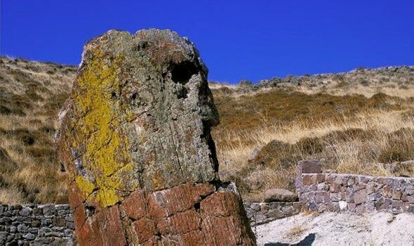 Ένα νέο απολιθωμένο δάσος αποκαλύφθηκε στην Μυτιλήνη