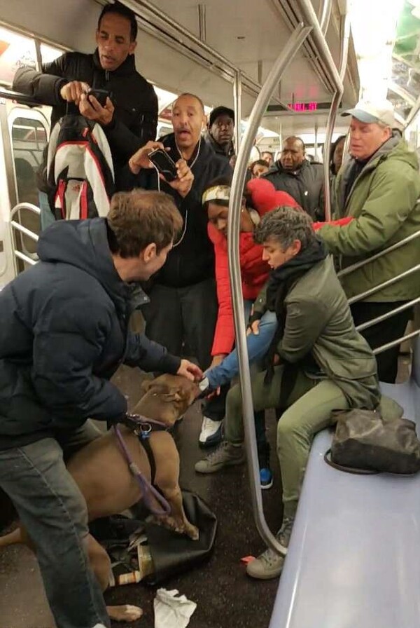 Η στιγμή που ένα πιτ-μπουλ άρπαξε μια γυναίκα από το παπούτσι μέσα στο μετρό της Νέας Υόρκης