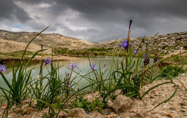 Εγκρίθηκε ψήφισμα για την προστασία των υγροτόπων που υπέβαλε η Ελλάδα