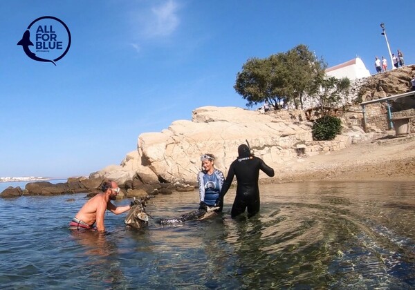 Πλαστικά, καλοριφέρ, νεροχύτες μέχρι και ένα μηχανάκι έβγαλαν από το βυθό της Μυκόνου (ΒΙΝΤΕΟ)