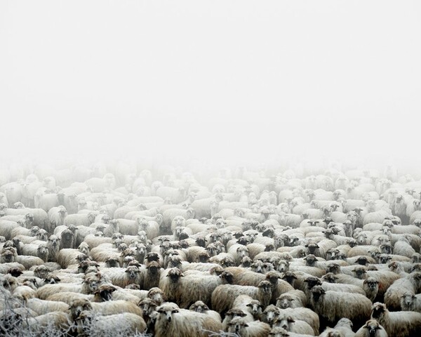 Ο Tamas Dezso φωτογράφισε με λυρικό τρόπο την αγροτική Ρουμανία