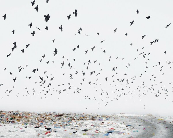 Ο Tamas Dezso φωτογράφισε με λυρικό τρόπο την αγροτική Ρουμανία