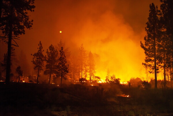 Πυρκαγιά στην Καλιφόρνια: Δύο παιδιά με την προγιαγιά τους ανάμεσα στους πέντε νεκρούς - 17 οι αγνοούμενοι