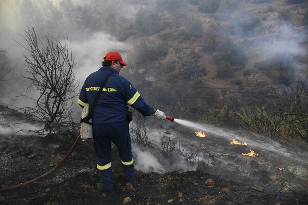 Υπό μερικό έλεγχο πυρκαγιά σε αγροτοδασική έκταση στην Ηλεία
