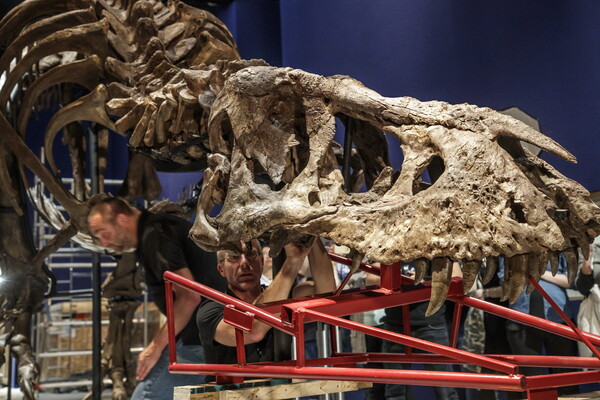 Επιστήμονες ανακάλυψαν γιγάντιο δεινόσαυρο ηλικίας τουλάχιστον 200 εκατομμυρίων ετών