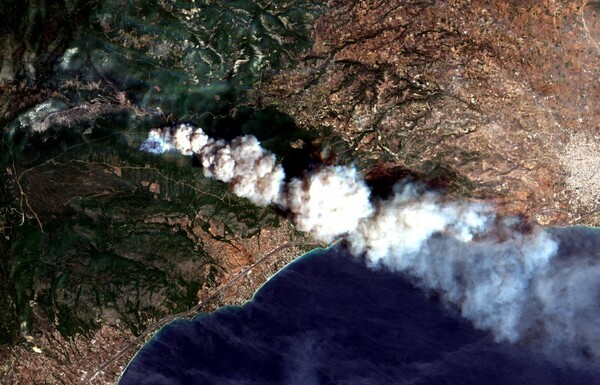 Copernicus: Σχεδόν 13.000 στρέμματα γης έκαψε η φονική πυρκαγιά στην Αττική (ΕΙΚΟΝΕΣ)