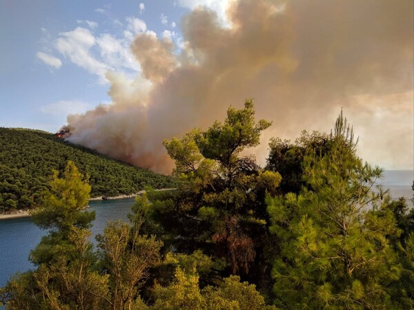 Υπό έλεγχο η πυρκαγιά στη Σκόπελο- Mια παρέα νεαρών που ήταν στην παραλία «εξετάζουν» oι αρχές