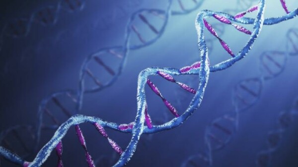 Γιατί οι επιστήμονες δεν έχουν συμφωνήσει ακόμη πόσα γονίδια έχει ο άνθρωπος