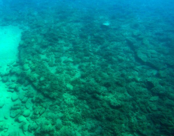 Απίστευτα ευρήματα στη Μεθώνη: Ναυάγια για πρώτη φορά στο φως