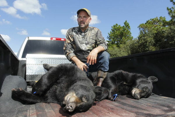 Οργή για τους κατοίκους της Φλόριντα που από σήμερα και για μια εβδομάδα σκοτώνουν αρκούδες