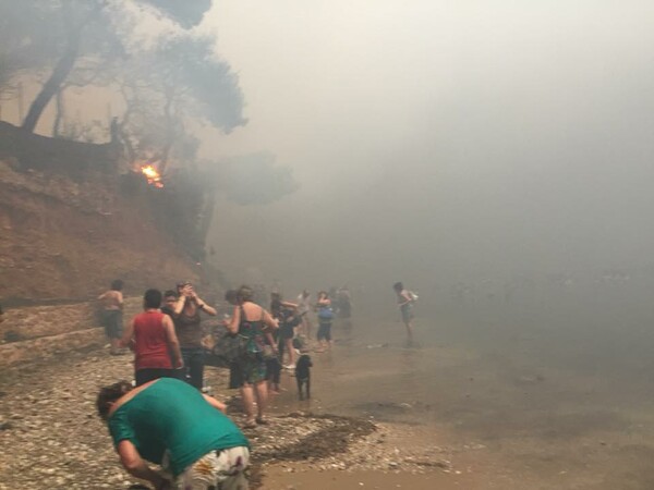 Συγκλονιστικές εικόνες από τη Νέα Μάκρη - Άνθρωποι μέσα στη θάλασσα για να σωθούν από τις φλόγες