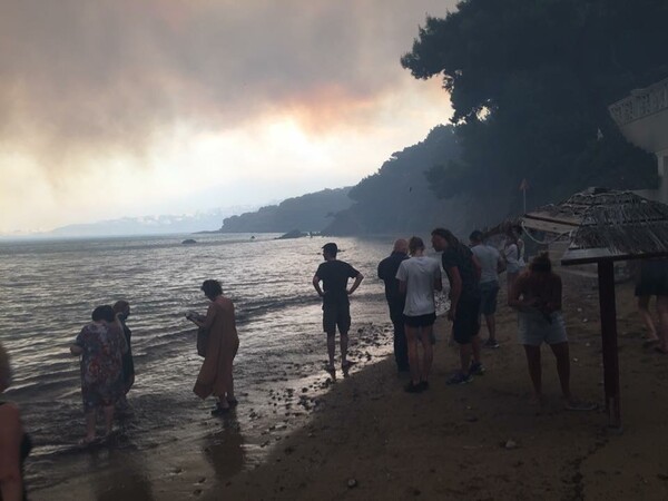 Συγκλονιστικές εικόνες από τη Νέα Μάκρη - Άνθρωποι μέσα στη θάλασσα για να σωθούν από τις φλόγες