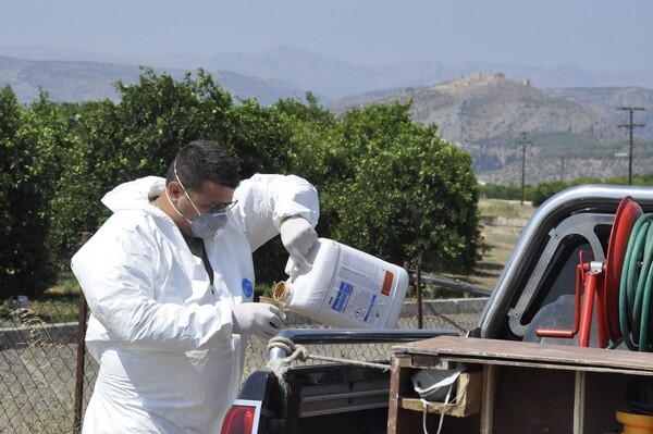 Ψεκασμοί στη Σαλαμίνα για τον ιό του Δυτικού Νείλου- Αυστηρές οδηγίες προς τους κατοίκους