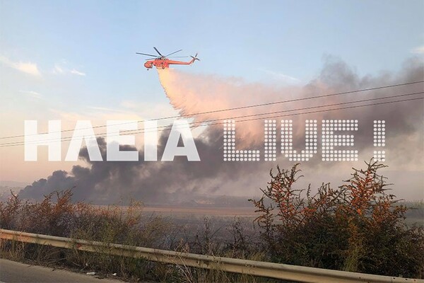 Πυρκαγιά στα Λεχαινά - Άνοιξε η εθνική οδός Πατρών-Πύργου (upd)