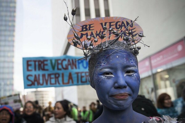 Γαλλία: Vegan ακτιβιστές διαμαρτυρήθηκαν μπροστά από κρεοπωλεία