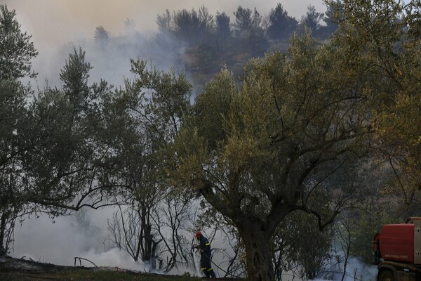 Υπό μερικό έλεγχο η φωτιά στην Κεφαλονιά