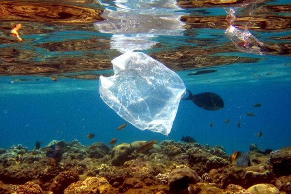 Το 2050 οι θάλασσες θα έχουν περισσότερα πλαστικά παρά ψάρια