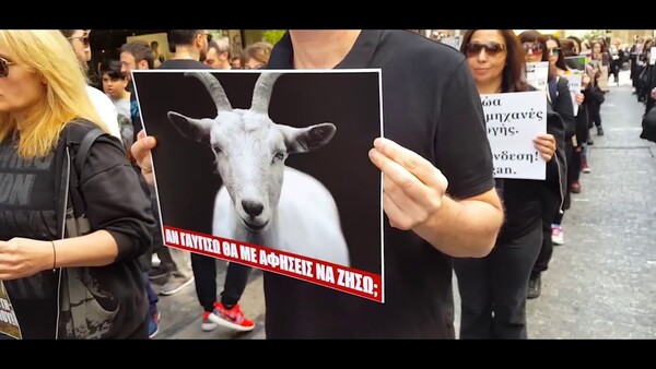 Πορεία για τα δικαιώματα των ζώων θα λάβει χώρα στο κέντρο της Αθήνας