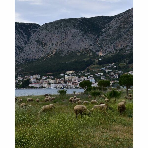 30 νέες φωτογραφίες των αναγνωστών μας, στο σημερινό INSTALIFO