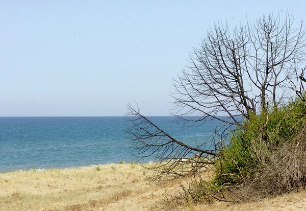 Εγκρίθηκαν τα μέτρα για τον Κυπαρισσιακό κόλπο και τη λίμνη Καϊάφα