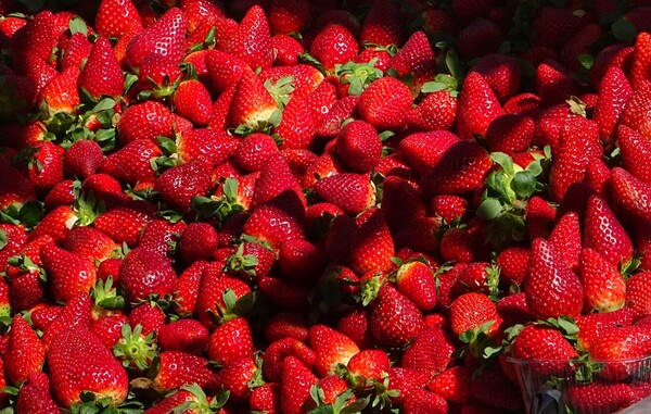 Είναι οι φράουλες φάρμακο για το στομάχι;