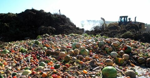 Πώς να μειώσετε δραματικά τη σπατάλη φαγητού - με μερικές απλές κινήσεις