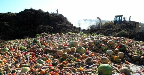 Πώς να μειώσετε δραματικά τη σπατάλη φαγητού - με μερικές απλές κινήσεις