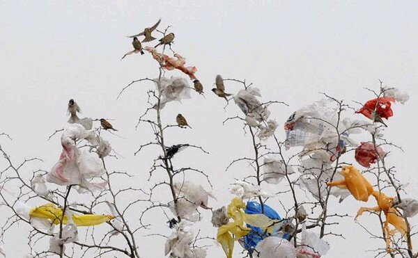 Η Ε.Ε. "απαγορεύει" τις πλαστικές σακούλες