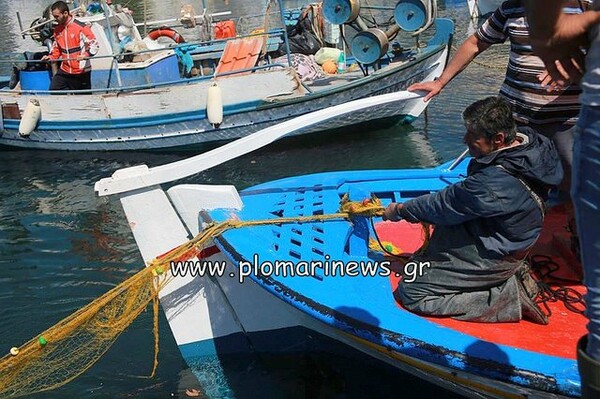 Καρχαρίας 7,5 μέτρων πιάστηκε στη Λέσβο