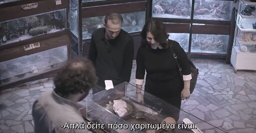 To ομοφυλόφιλο χελωνάκι και οι αντιδράσεις των Τούρκων