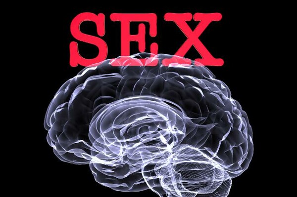 Οι επιστήμονες βρήκαν γιατί οι άνδρες σκέφτονται συνεχώς το σεξ