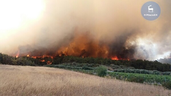 Υπό μερικό έλεγχο η φωτιά στη Ρόδο - Μεγάλες οι ζημιές από τα πύρινα μέτωπα