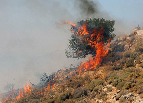 Απαγόρευση κυκλοφορίας σε δάση και δρυμούς στο Ρέθυμνο υπό το φόβο πυρκαγιών